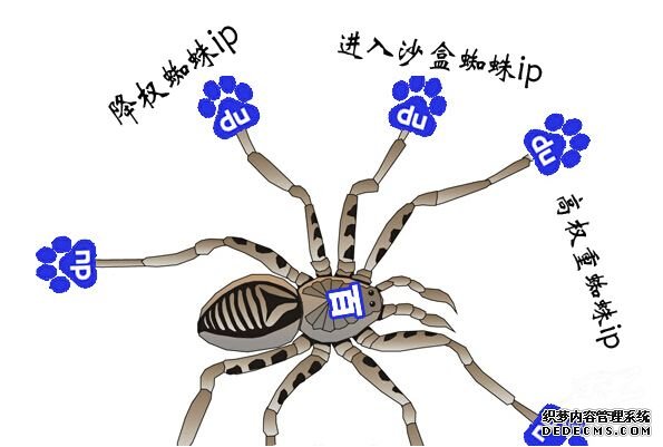 百度蜘蛛 百度蜘蛛